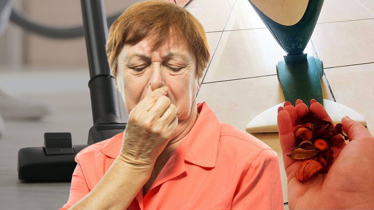 Desodorizar la aspiradora