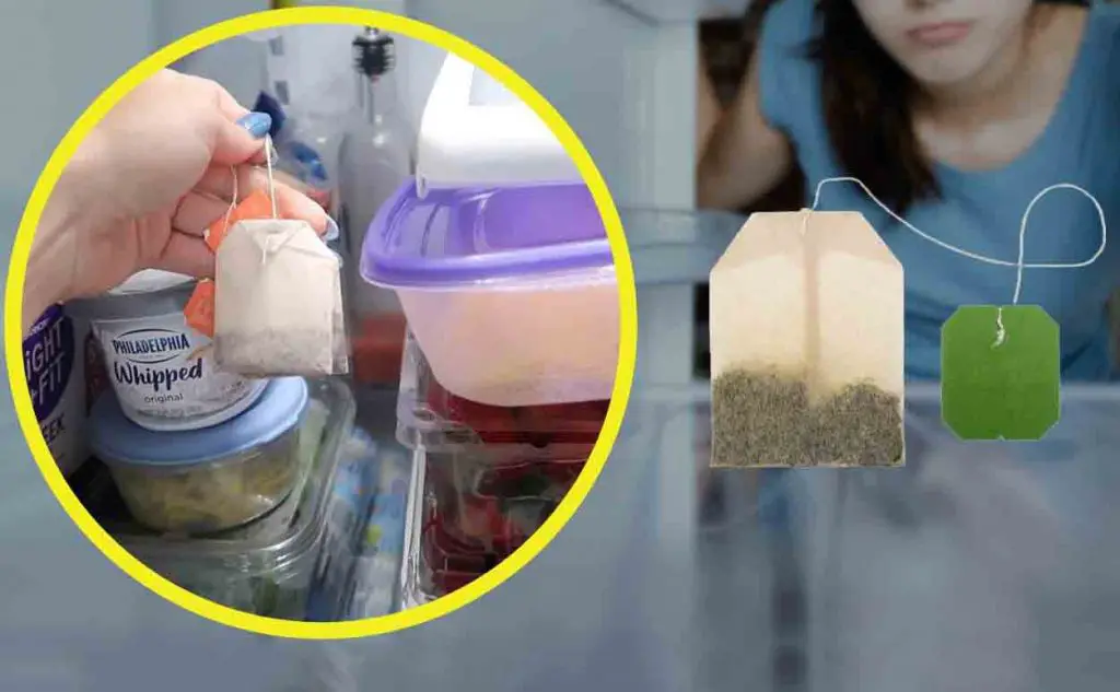 Bolsitas de té, toda la noche en el refrigerador: este movimiento ha ahorrado miles – Mis Consejos Jardinería