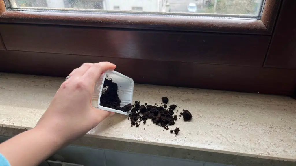 Café molido en los alféizares: resuelve un problema muy común – Mis Consejos Jardinería