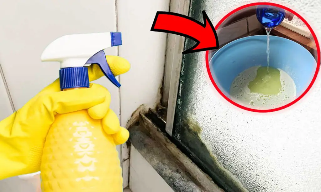 Círculo negro alrededor de la ducha, solo te deshaces de él si haces esto. ¡Nunca había tenido una ducha tan limpia – Mis Consejos Jardinería