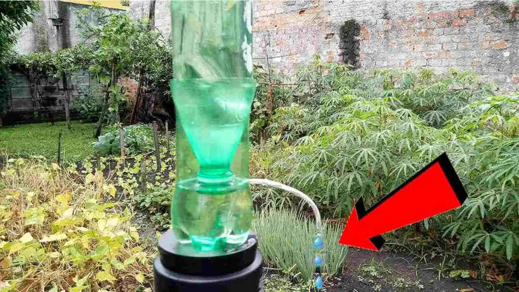 Cómo hacer un aspersor de goteo casero: 10 centavos es todo lo que necesita – Mis Consejos Jardinería