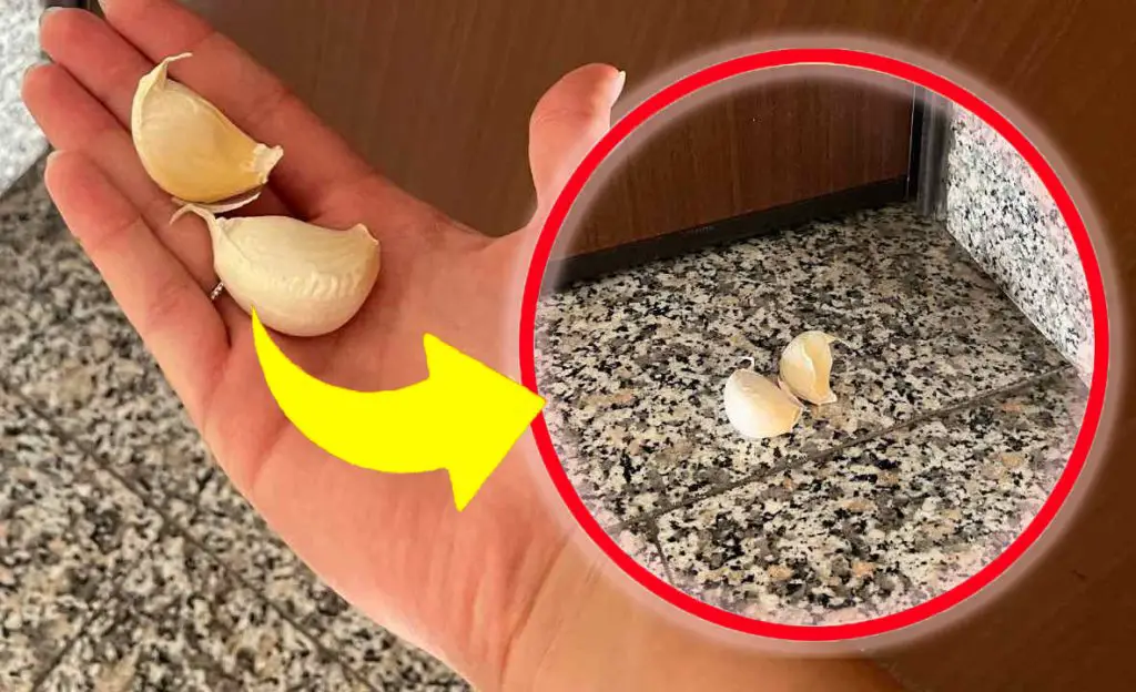 Dientes de ajo, todo el mundo corre a echarlos de casa: casi nadie lo sabe | ¡Este movimiento está salvando a millones de personas