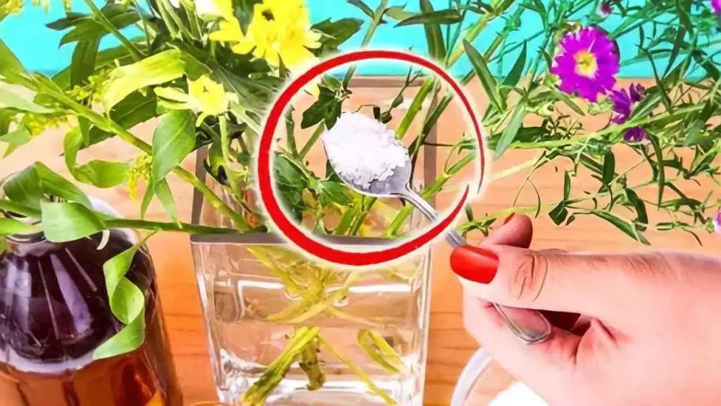 Flores frescas, el secreto de los floristas para que duren 30 días sin que se marchiten – Mis Consejos Jardinería