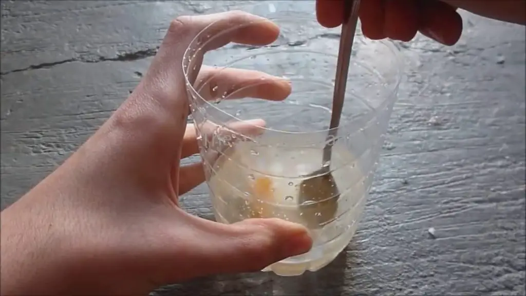 He aquí cómo hacer una trampa para moscas y mosquitos en casa: solo toma unos minutos – Mis Consejos Jardinería