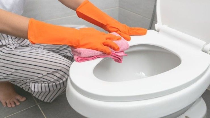malos olores del baño