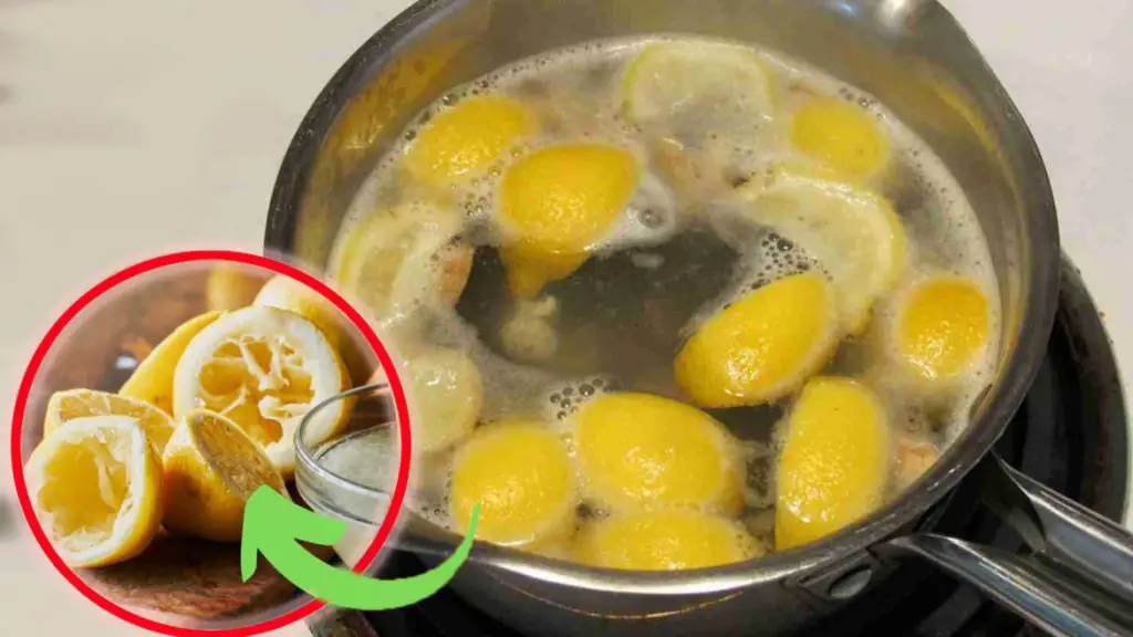 Limones exprimidos: no te atrevas a tirarlos, ponlos a hervir | Siempre los uso así, ¡son realmente útiles para todo! – Mis Consejos Jardinería