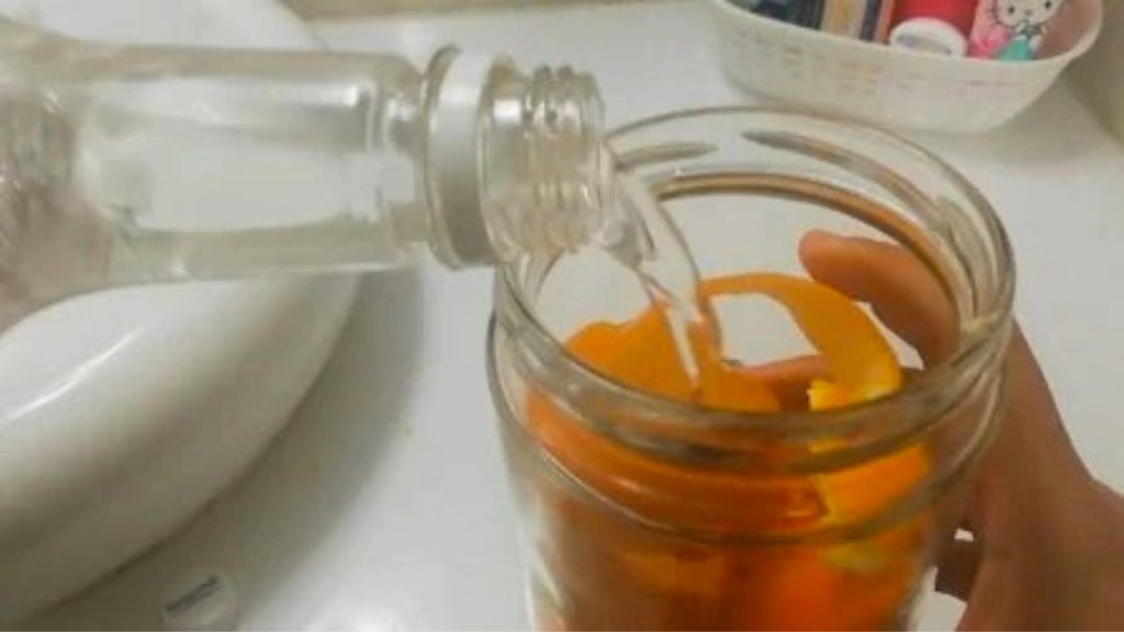 No tires las pieles de naranja, ponlas en un tarro y añade un poco de vinagre: vale oro en la casa – Mis Consejos Jardinería