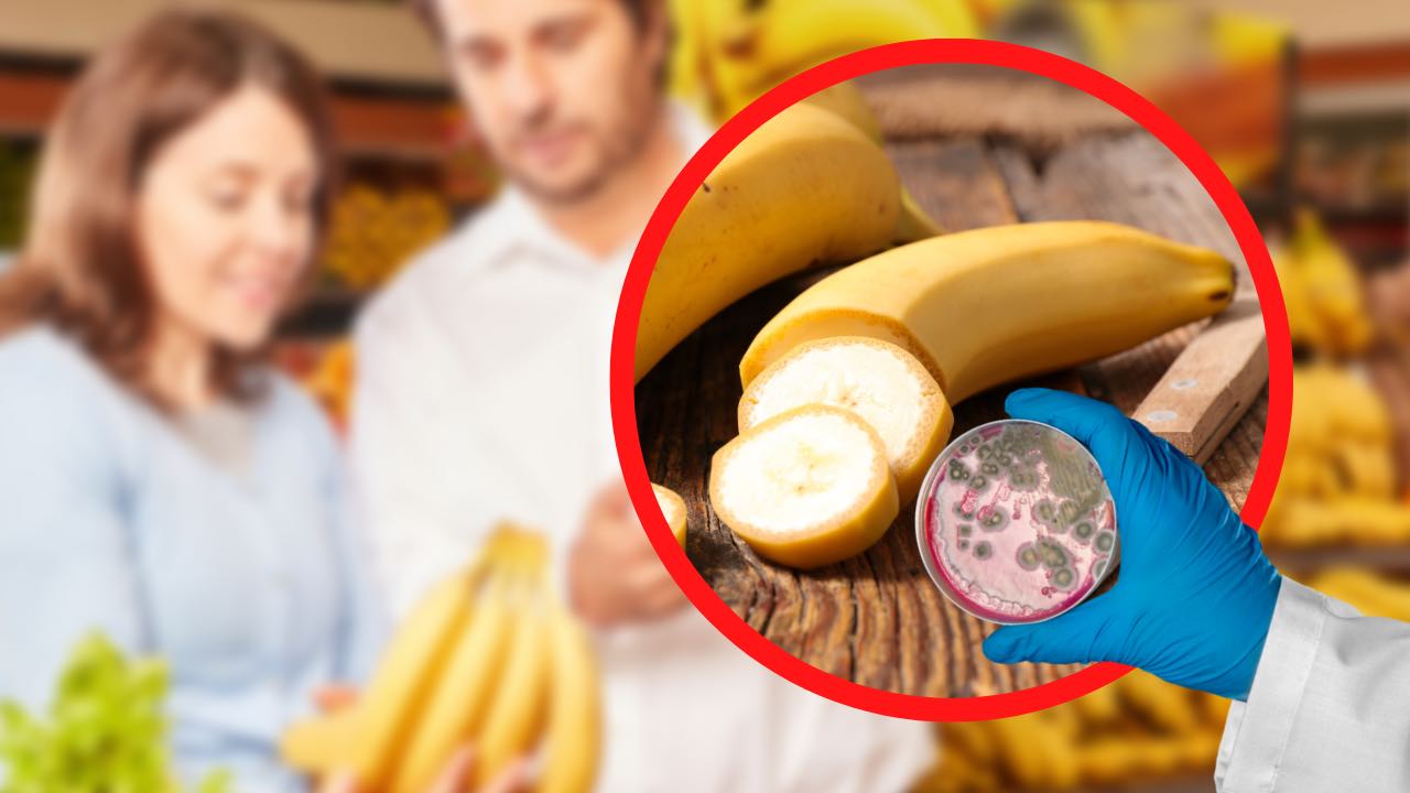 Plátanos con hongos peligrosos