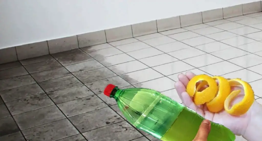 Receta casera para limpiar hasta los suelos más difíciles de limpiar. Tu hogar volverá a brillar – Mis Consejos Jardinería