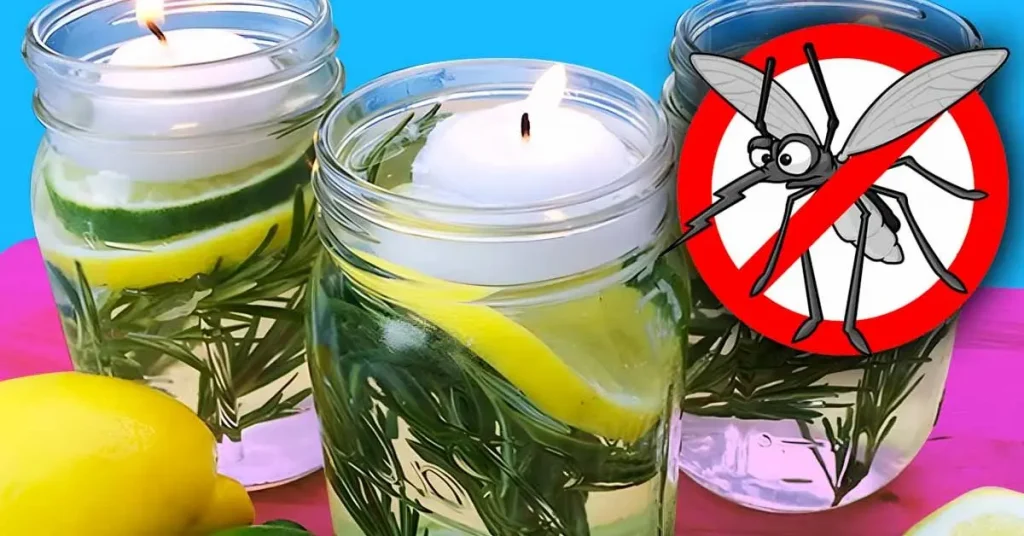 Repelente de mosquitos 100% natural – Mis Consejos Jardinería