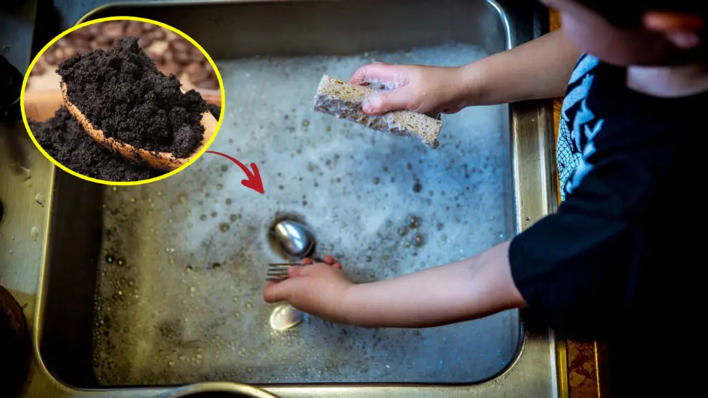 Sin químicos: El truco que soluciona un gran problema en casa – Mis Consejos Jardinería