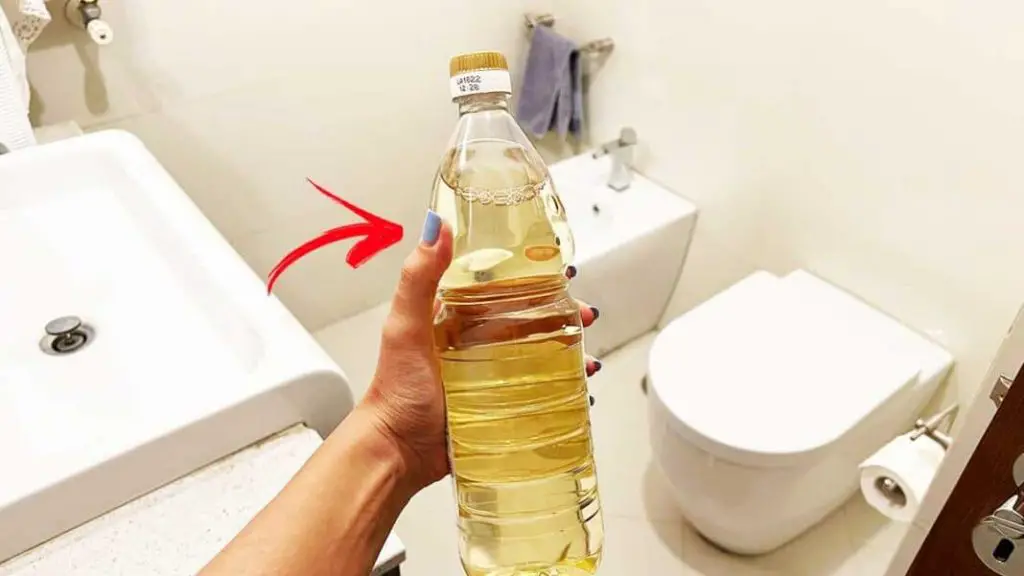 Vinagre en el inodoro : soluciona un molesto y muy común problema – Mis Consejos Jardinería