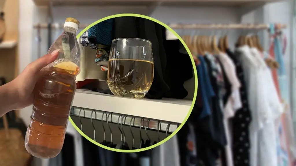 Vinagre: solo un vaso en la alacena y tu ropa te lo agradecerá – Mis Consejos Jardinería