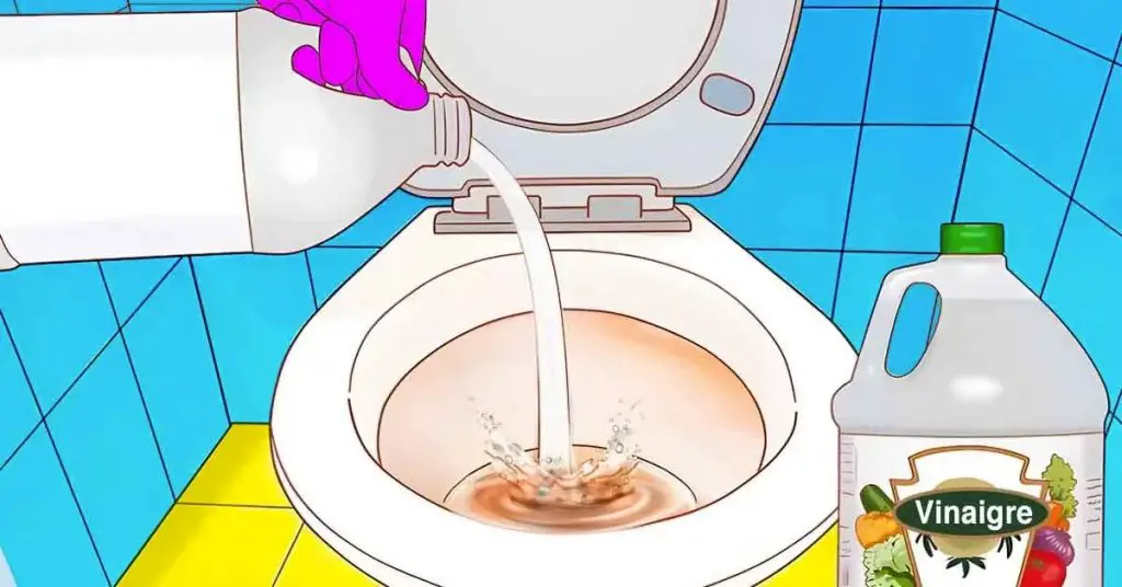 baño sucio? El truco para limpiarlo sin esfuerzo y dejarlo reluciente – Mis Consejos Jardinería