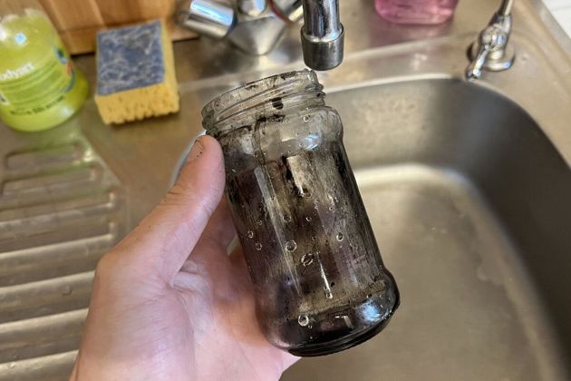 https://misconsejosdejardineria.com/1939-2/