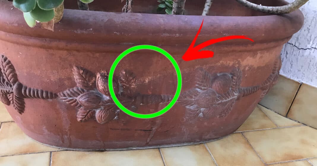 olla-limpia-terracota