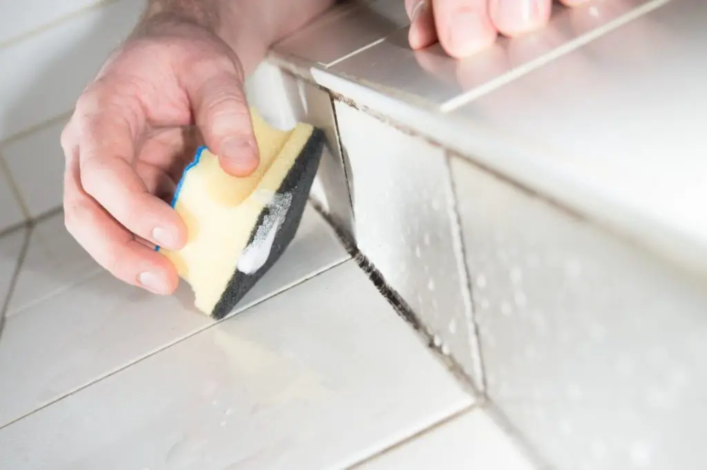¡Cómo limpiar el mueble del baño y eliminar los malos olores del moho! – Mis Consejos Jardinería
