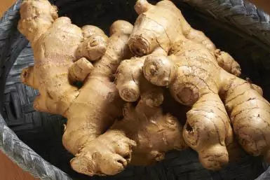 jengibre de huerta