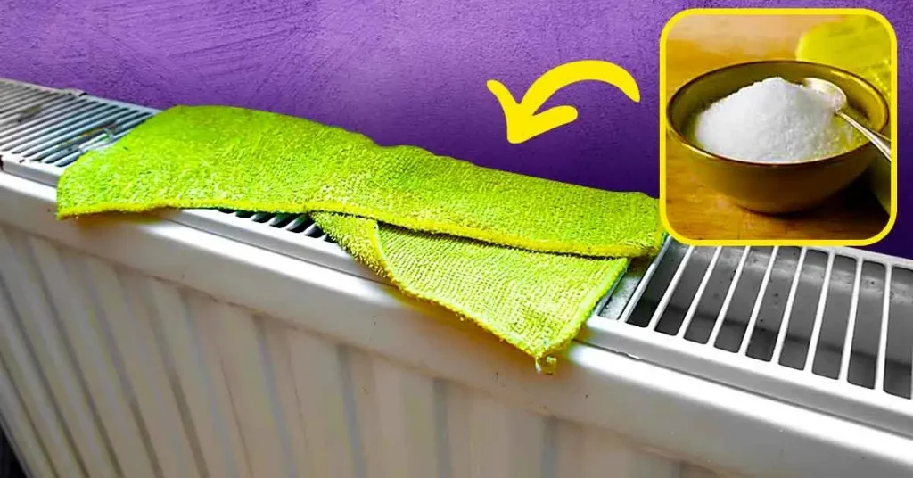 ¿Cómo perfumar tu hogar de forma natural? Un truco genial por menos de 20 céntimos – Mis Consejos Jardinería