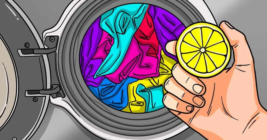 ¿Lavadora que huele mal? Aquí está el truco para eliminar los malos olores y dejar un agradable aroma en la ropa – Mis Consejos Jardinería