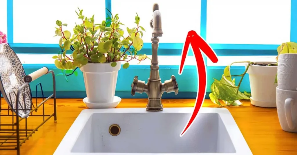 ¿Por qué se debe colocar el fregadero junto a la ventana? Este es el error que mucha gente comete – Mis Consejos Jardinería