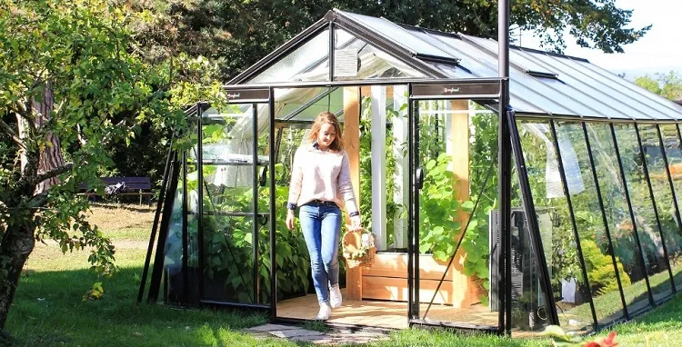 qué plantar en agosto en la huerta o invernadero