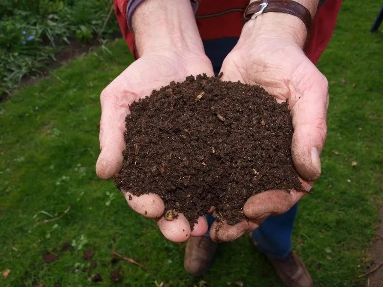 fertilizante natural gratis para el jardín 2022